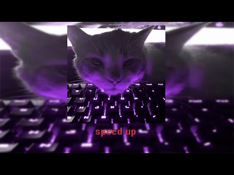 Видео: Плейлист Рандомных Песен из тик ток Speed Up