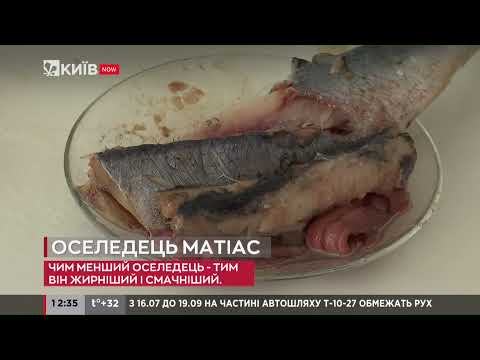 Видео: Що ховається під популярною назвою оселедця «Матіас»? #ЯкіснеЖиття