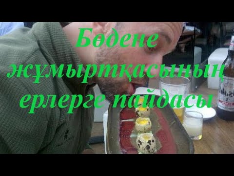 Видео: Бөдене жұмыртқасының ЕР азаматтарға ПАЙДАСЫ 🇰🇿🇰🇿👍👍🤔