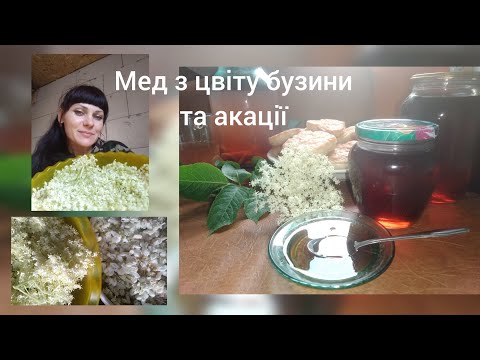 Видео: @Мед з бузини та з акації//@Elder and acacia honey#мед#медзбузини#сіроп#смачноікорисно#бузина#акація