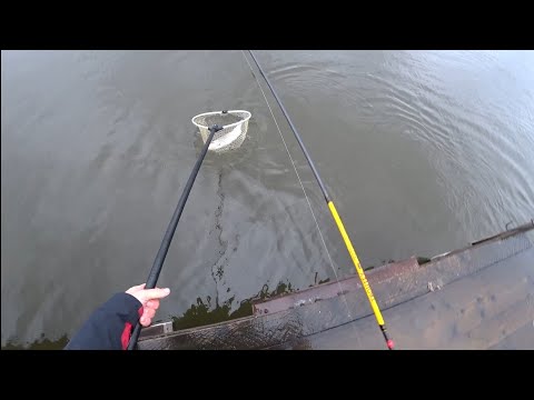 Видео: Подмосковная офигительная рыбалка на форель. Платная рыбалка.