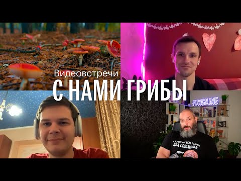 Видео: С нами грибы. Мухомор и люди. Михаил Вишневский
