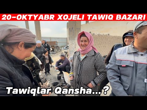 Видео: 20-ОКТЯБРЬ ХОЖЕЛИ ТАУЫК БАЗАР БАХАЛАРЫ МАКЕН КОРАЗ ТУЙЕ ТАУЫК ГАЗ УЙРЕК