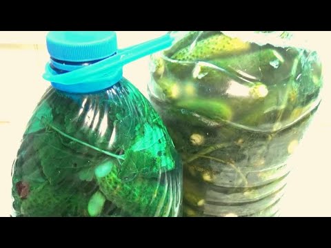 Видео: КВАШЕНЫЕ ОГУРЦЫ В БУТЫЛКЕ, УДОБНЫЙ СПОСОБ ЗАКВАСКИ ОГУРЦОВ, ЗАСОЛКА ОГУРЦОВ