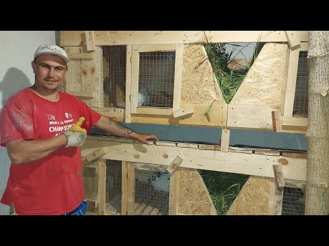 Видео: Клетка для кролей готова. Новоселье у кролей.