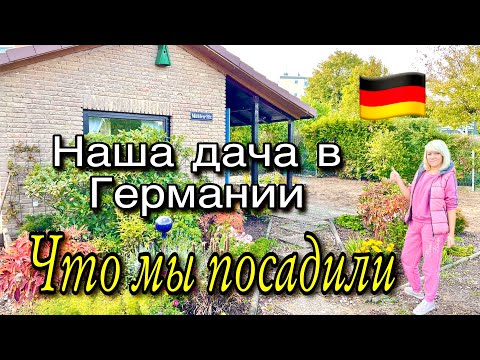 Видео: Nr.5 Наша Дача в Германии / Что  мы Посадили