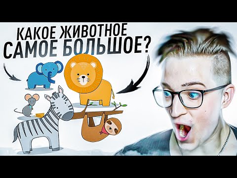 Видео: Я САМЫЙ ТУПОЙ В БАНДЕ ЮТУБ? НЕРЕАЛЬНО СЛОЖНЫЙ ТЕСТ IQ!
