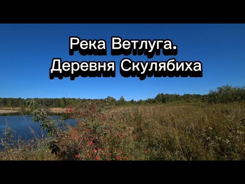 Видео: Просто взяли донки и спиннинг и поехали на "рыбалку")). Река Ветлуга.