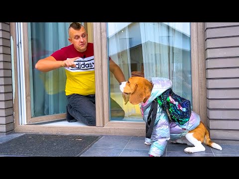 Видео: ЩЕНКА ВЫГНАЛИ ИЗ ДОМА. ЗА ЧТО? БРОС ШОУ ПЕТ