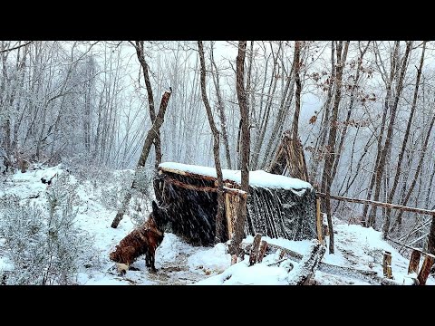 Видео: 2 дня Зимний лагерь в дикой природе с моей собакой, Документальный фильм о природе