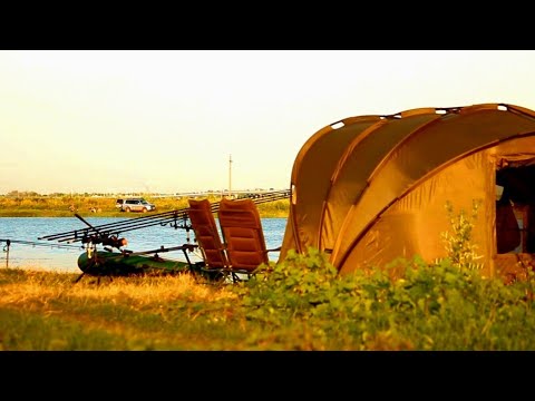 Видео: Охота за Диким САЗАНОМ на РЕКЕ