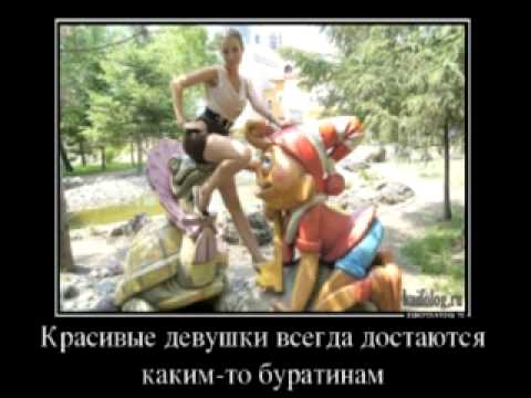 Видео: В Шунт Фломики