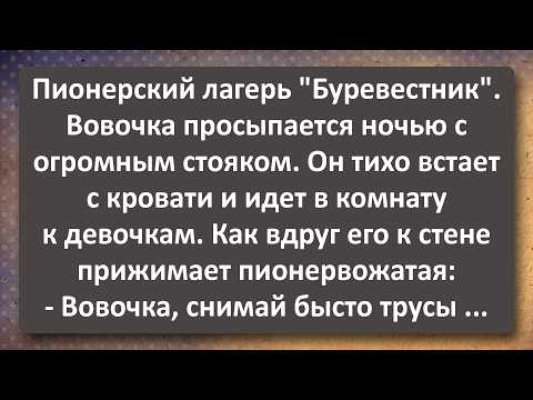 Видео: Лариса 34 года и Вовочка с Ночным Стояком! Сборник Самых Свежих Анекдотов!