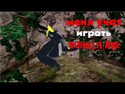 Видео: Притворился Новым Игроком в Gorilla Tag!