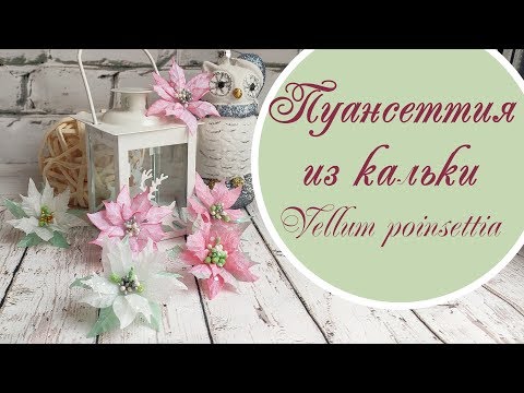 Видео: Пуансеттия из кальки / vellum poinsettia tutorial