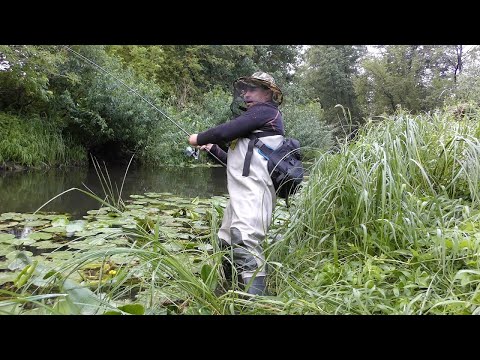 Видео: Супер Риболовля. Дика Річка. Щука Окунь Язь на Спінінг