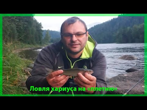 Видео: Мой первый хариус!  Рыбалка в горном Алтае с. Артыбаш