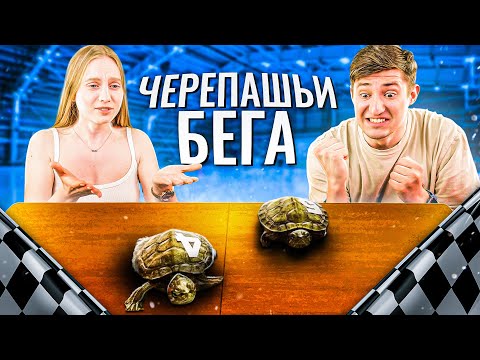 Видео: Устроили Черепашьи Бега. ИГРА НА НАКАЗАНИЕ