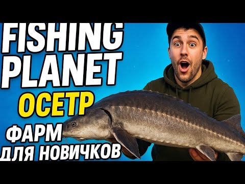 Видео: Fishing Planet.Дельта-Сан Хоакин.Фарм денег и опыта