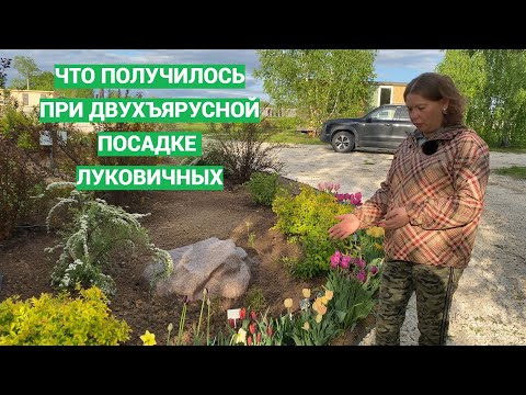 Видео: Результаты двухъярусной осенней посадки луковичных