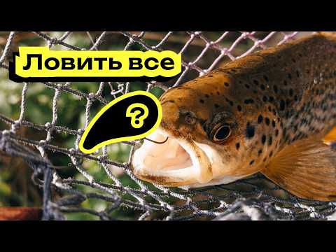 Видео: Приманка врятували рибалки! Топ на хижака. Форель, головень, окунь.