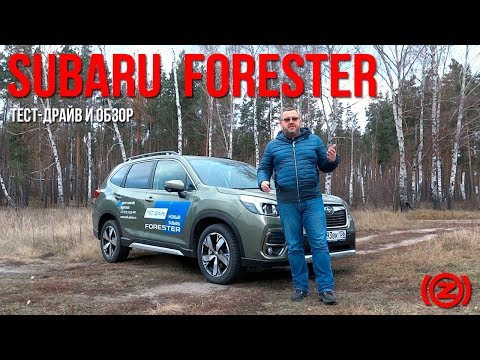 Видео: Subaru Forester 2019. Тест-драйв и обзор "Субару Форестер" пятого поколения