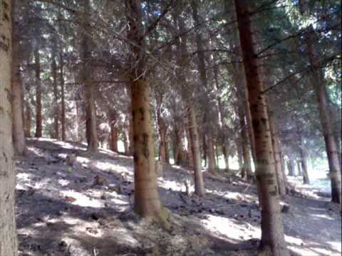 Видео: Tearca - Теарце - Teharce.wmv