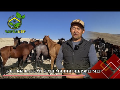 Видео: Жылкы баккан жаш миллионер фермер // ЧАРБАКЕР берүүсү