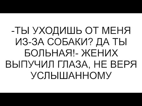 Видео: -Ты уходишь от меня из-за собаки? Да ты больная!- жених выпучил глаза, не веря услышанному