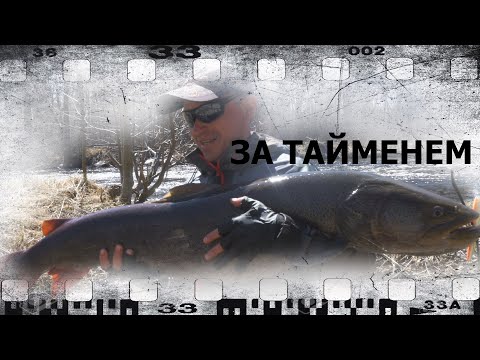 Видео: ЗА ТАЙМЕНЕМ