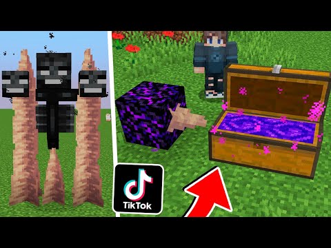 Видео: ЛАЙФХАКИ ИЗ САМОГО ВИРУСНОГО ТИКТОКА МАЙНКРАФТ, ЭТО РАБОТАЕТ! ЛОВУШКА ПУШКА!