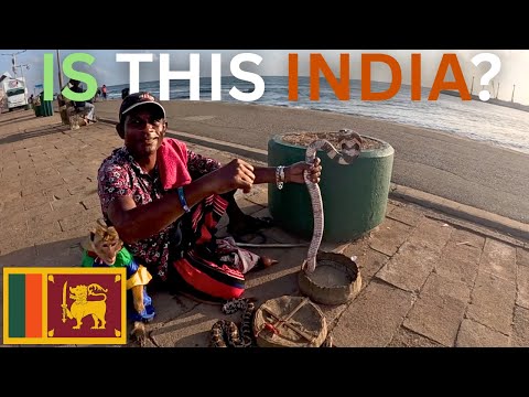 Видео: Мои первые впечатления о Шри-Ланке 🇱🇰 (НЕ ТО, ЧТО Я ОЖИДАЛ)