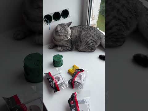 Видео: 🟢🟢🟢 Грамотный монтаж розеток в оконный откос | Бюджетный топчик ЭУИ EPICA от EKF. 