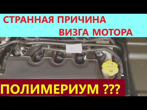 Видео: ЛАРГУС 2019. ПОБЕДА НАД ВИЗГОМ ДВС 129 И ПРИЧЁМ ТУТ ПОЛИМЕРИУМ?!