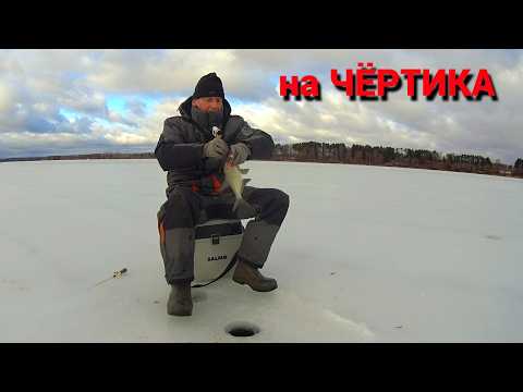 Видео: ОСНОВНЫЕ ПРОВОДКИ ЧЁРТИКА при ловле подлещика. Короткая рыбалка в понедельник.