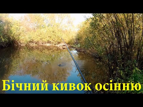 Видео: Як ловити рибу осінню на бічний кивок? Тактика ловлі риби на боковий кивок осінню! Літня мормишка