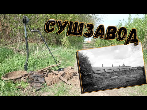 Видео: И, снова XP ORX выдал зачётный результат.