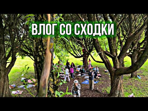 Видео: ВЛОГ С МОЕЙ СХОДКИ 🐾✨