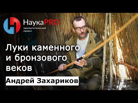 Видео: Древние технологии: луки в каменном и бронзовом веках – археолог Андрей Захариков | Научпоп