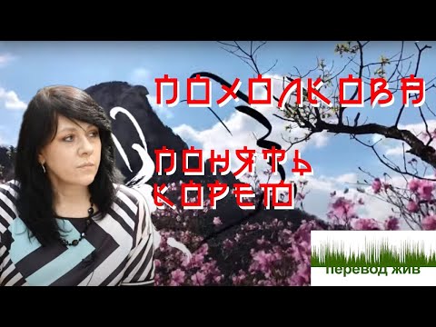 Видео: Похолкова. Понять Корею