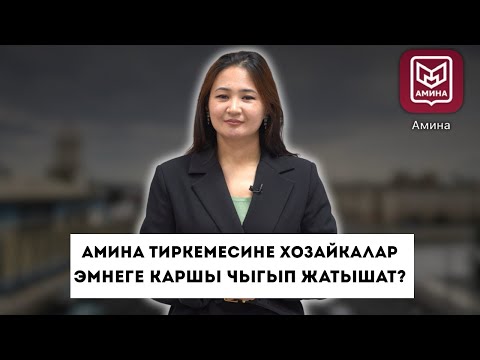 Видео: Амина тиркемеси — эмнеге батир ээлерине жакпай калды?