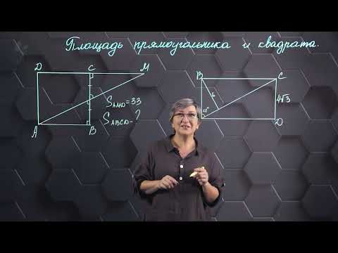 Видео: Площадь прямоугольника и квадрата. Практическая часть 2. 8 класс.