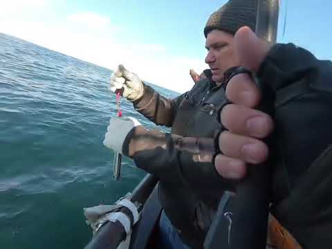 Видео: Рыбалка Ура Губа 2019