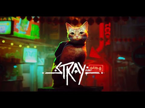 Видео: Stray ч. 2