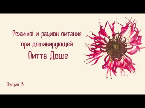 Видео: Режимы и рацион питания для людей с доминантной Питта конституцей