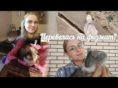 Видео: VLOG Перевелась на физмат?🗒️ 2 день школы🏫