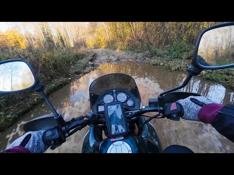 Видео: Along a forest road in autumn. Aprilia Pegaso 650 / По лесной дороге осенью. 