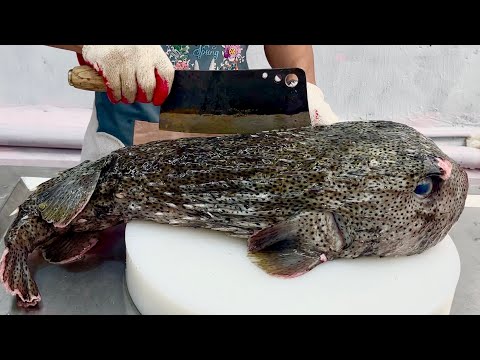 Видео: иглобрюхая рыба 7 кг // vn chef