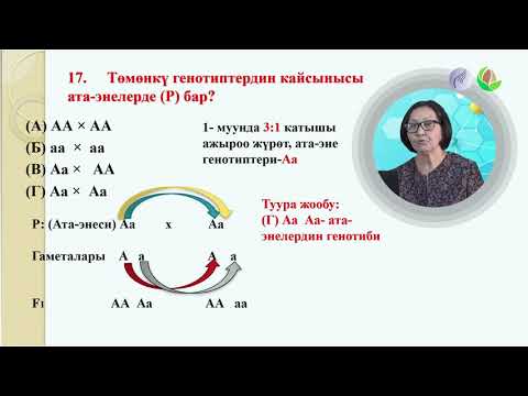 Видео: Биология 10 сабак