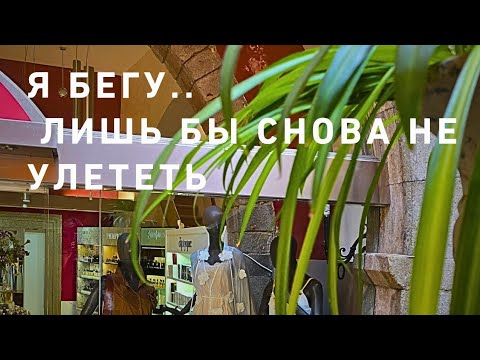 Видео: Правда 💯‼️☘️ Сдаться или ...🧐⁉️ Бодрое утро💃☘️💯 Погнали🤩